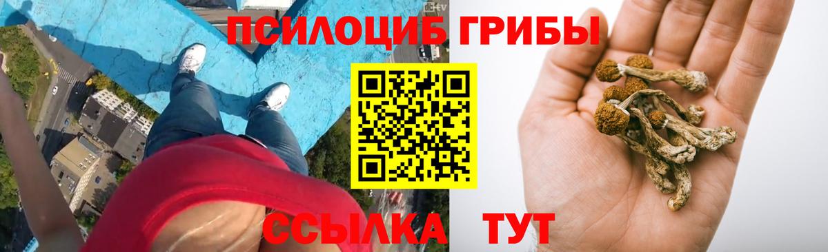 цена наркотик  Галлюциногенные грибы GOLDEN TEACHER  Якутск  Вход с VPN  Галлюциногенные грибы прущие грибы 